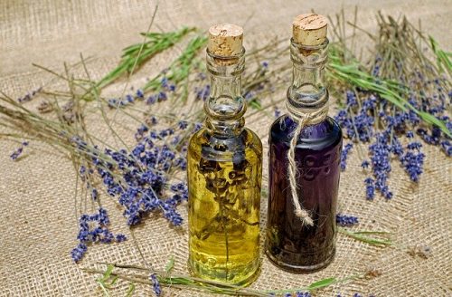 Blog. Causes of Gynecomastia: Lavender and Tea Tree Oil?